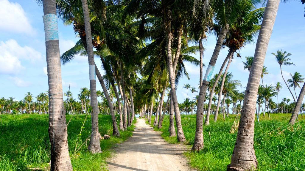 Holiday Cottage Thoddoo, Maldives Zewnętrze zdjęcie